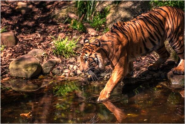 夢到領導給我錢會有什麼預兆_周公解夢官網