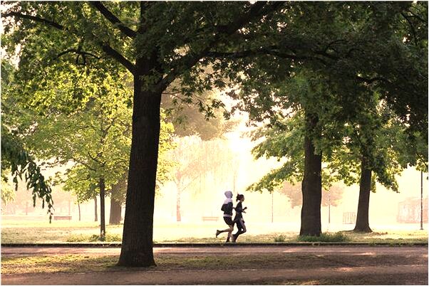 夢見昨晚家裡的燈掉下來有什麼意義嗎_周公解夢官網