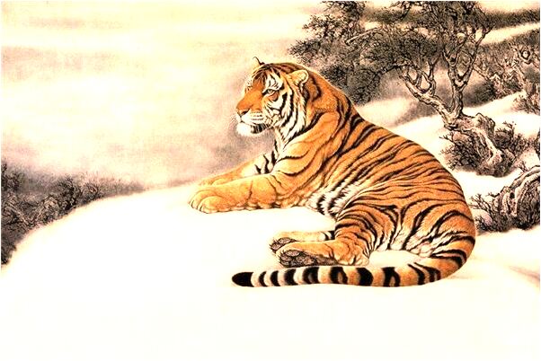 夢見別人扎我一刀要死了有什麼意思嗎_周公解夢官網