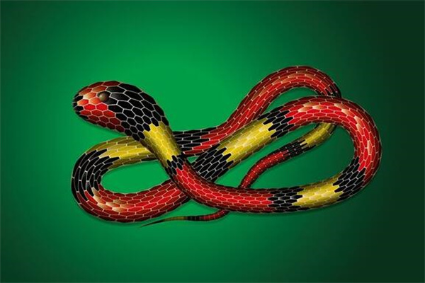 夢到了自己生蛇意味著什麼_周公解夢