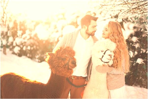 夢到找到許多金幣好不好_周公解夢官網