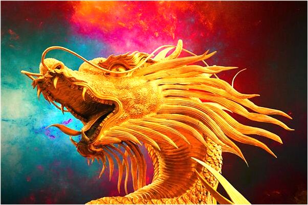 夢到自己餵一群豬是不是好的徵兆呢_周公解夢官網