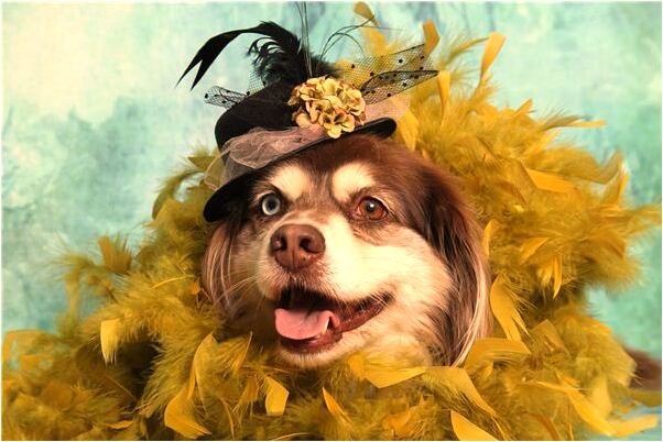 夢到了朋友勃孑上突長毒瘤預示什麼_周公解夢官網