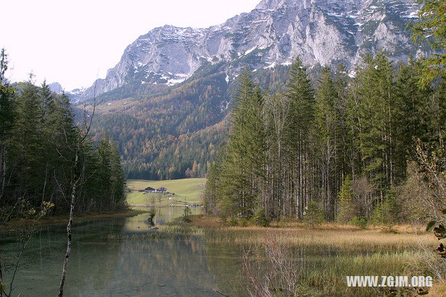 夢見與牛搏鬥_周公解夢夢到與牛搏鬥是什麼意思_做夢夢見與牛搏鬥好不好_周公解夢官網