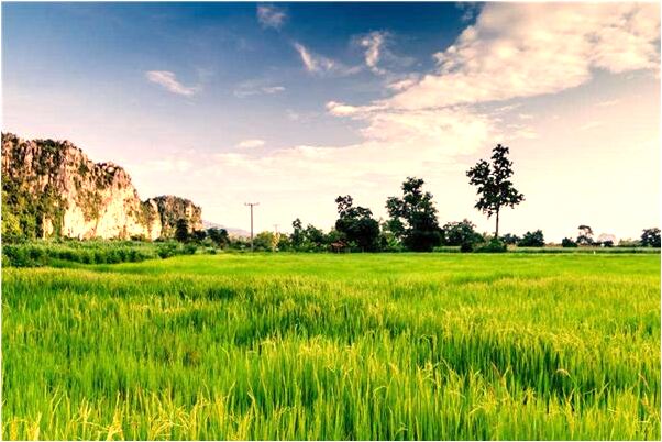 夢見同事的屁股是什麼意思_周公解夢官網