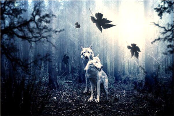 夢到被朋友打了一搶是什麼徵兆_周公解夢官網