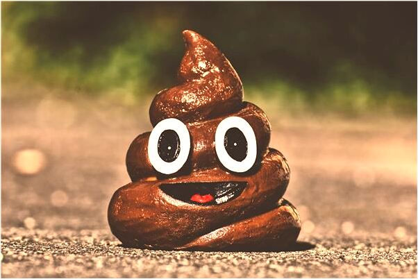 夢到在豪華家院裡坐著有何寓意_周公解夢官網