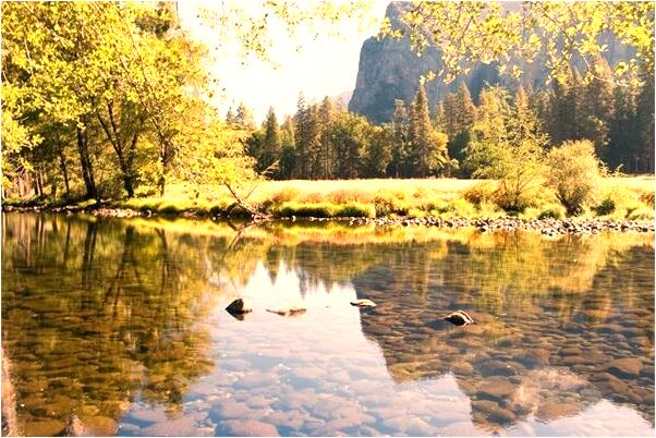 夢見黑熊和我玩是凶兆還是吉兆_周公解夢官網