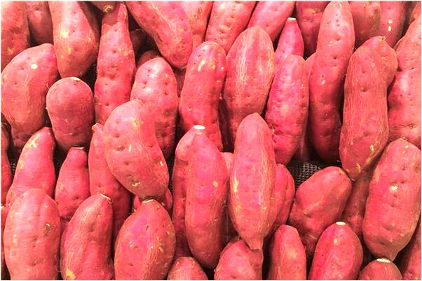 夢到兒子說心愛的人意味著什麼_周公解夢官網