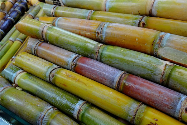 夢見賣甘蔗是什麼意思_周公解夢