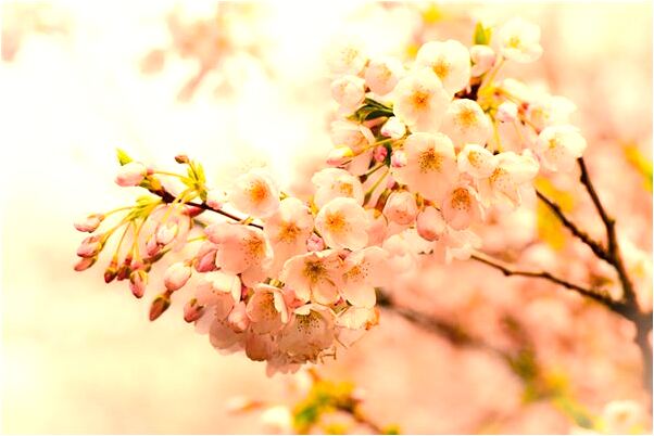 夢到了帶孩子掛水是什麼啟示_周公解夢官網