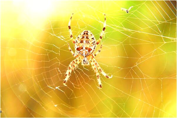 夢見濕的藍衣服有泥是什麼意思_周公解夢官網