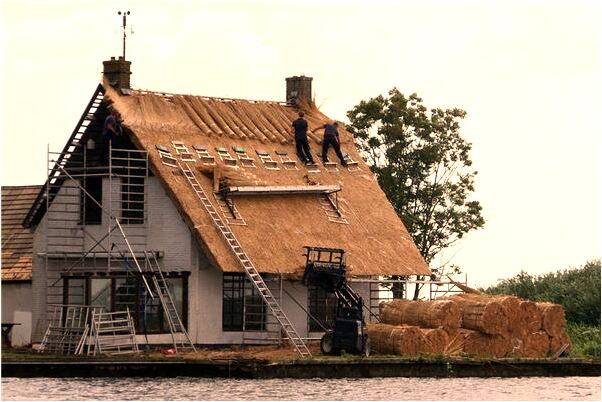 夢到了工作不被重用意味著什麼_周公解夢官網