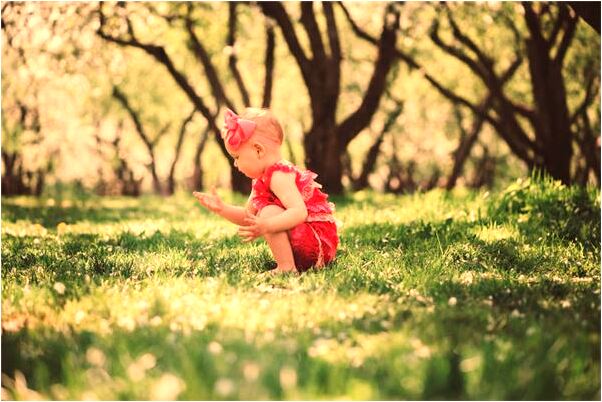 夢見會飛看到好多豬有什麼寓意嗎_周公解夢官網