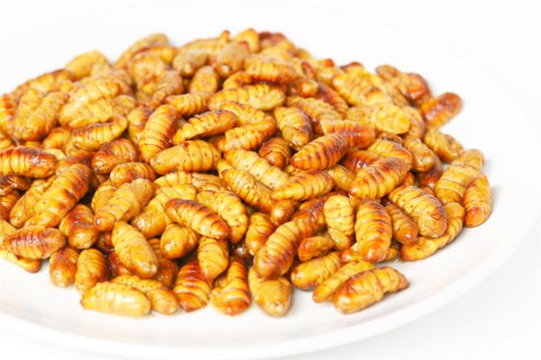 夢見吃蟲子_周公解夢