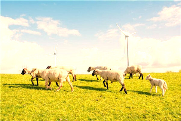 夢到了女孩戳我兩次背是什麼徵兆_周公解夢官網