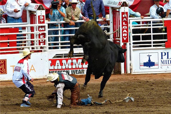 夢到踩踏意味著什麼_周公解夢