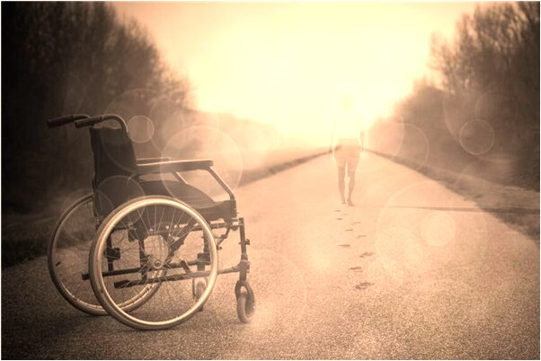 夢見買花盆有什麼徵兆_周公解夢官網