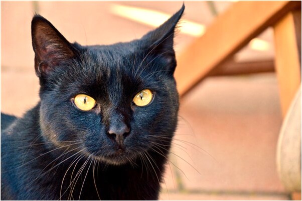 夢見死去的爺爺給我要錢是咋回事_周公解夢官網