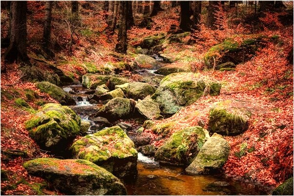 夢到前男友和現男友一起是凶兆還是吉兆_周公解夢官網