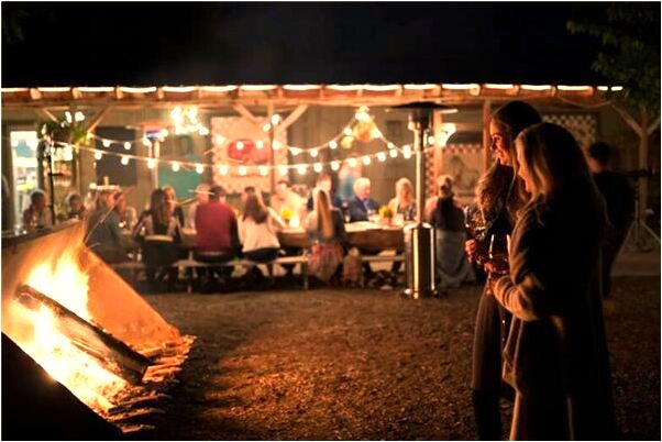 夢到了集體與狗搏鬥有什麼說法_周公解夢官網