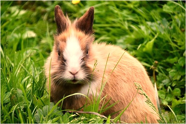 夢到了親戚要把我送監獄是好事還是壞事_周公解夢官網
