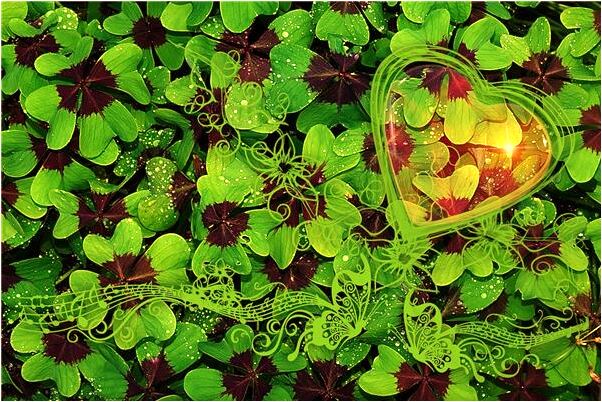 夢到了徒手殺了好幾頭狼會有什麼預兆_周公解夢官網