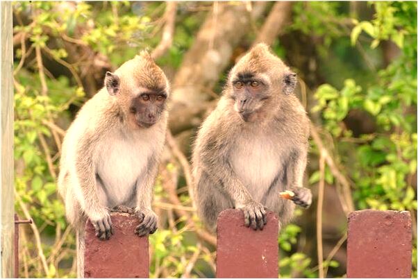 夢見媽媽變老了是什麼徵兆_周公解夢官網