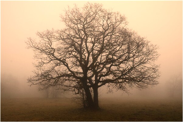 夢到了無人開的車撞壞了是好是壞_周公解夢官網