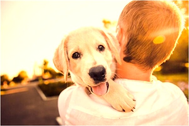 夢到了老闆老婆睡我的床是好的徵兆嗎_周公解夢官網