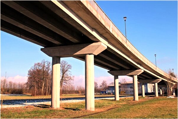 夢到了滿樹掛滿紫色茄子有什麼意義嗎_周公解夢官網