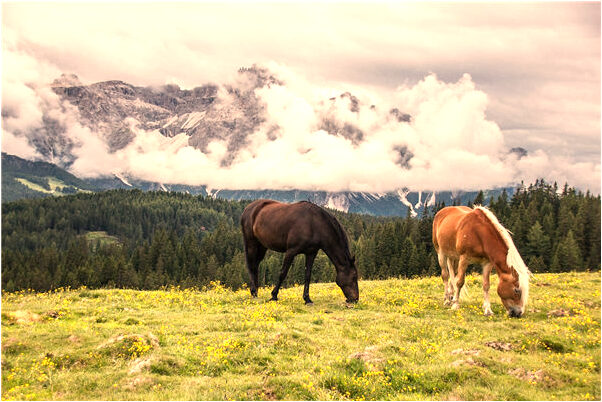夢見右上眼皮跳有什麼預示嗎_周公解夢官網
