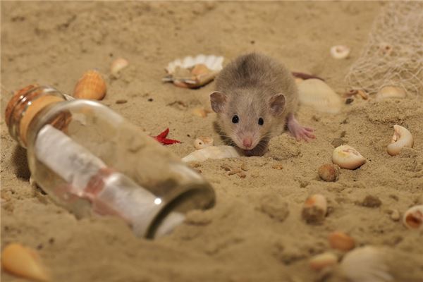 鼠年犯月是幾月份_十二生肖