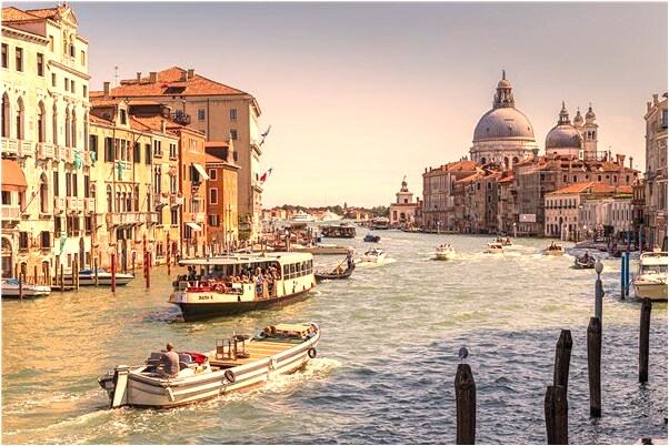 夢到吃桔梗是不是好的徵兆呢_周公解夢官網