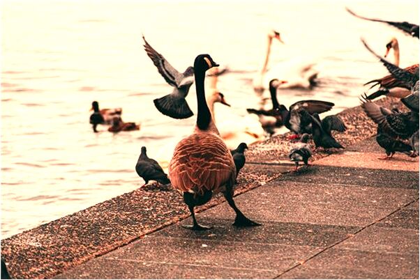 夢見醫生朋友意味著什麼_周公解夢官網