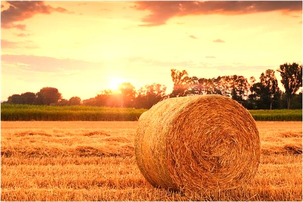 夢見老婆和舊情人在一起是什麼啟示_周公解夢官網