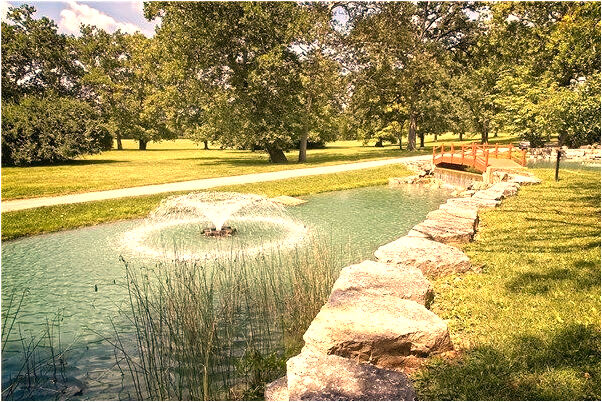 夢到了別人自己被警察抓走是咋回事_周公解夢官網