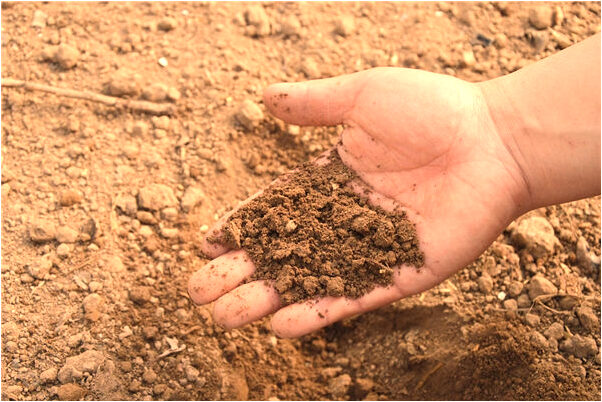 夢到了脖子破了是什麼預兆_周公解夢官網