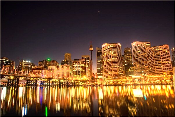 夢到花園盆景意味著什麼_周公解夢官網