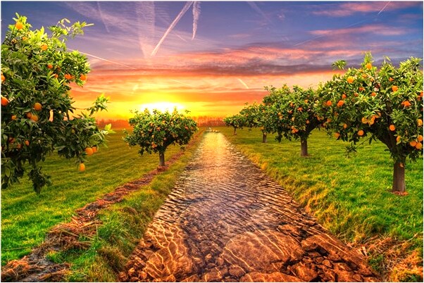 夢到了兒溺水被我救起有什麼意義嗎_周公解夢官網