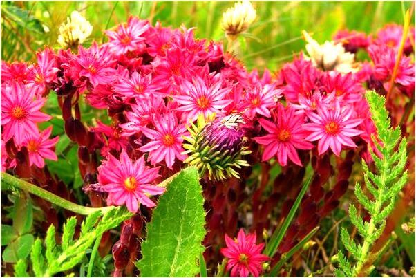 夢到把鬼趕走的預兆_周公解夢官網