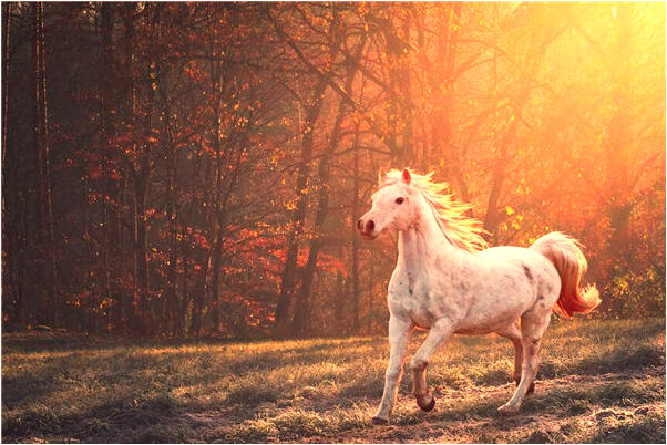 夢到了又回學校上學是啥預兆_周公解夢官網