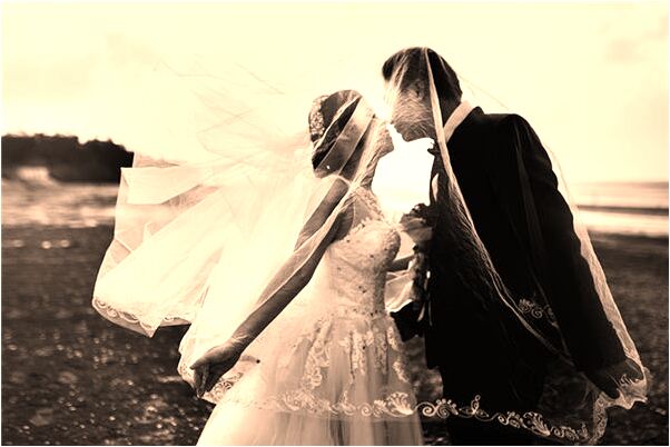 夢見雞吃人是什麼啟示_周公解夢官網