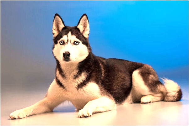 夢到了頂層沒有圍牆意味什麼_周公解夢官網