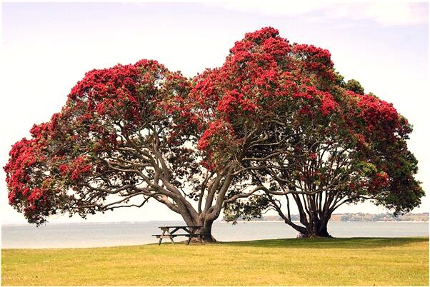 夢到了被三隻公雞咬手指出血啥意思_周公解夢官網