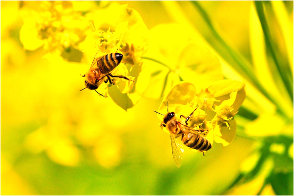 夢見帶朋友回家半路換路是什麼意思_周公解夢官網