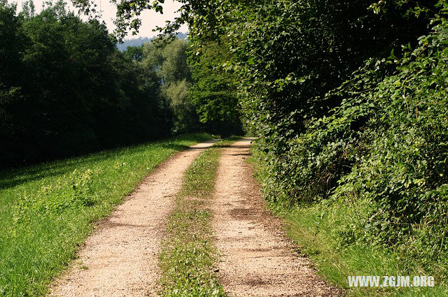 夢見暗戀的過來牽我的手_周公解夢夢到暗戀的過來牽我的手是什麼意思_做夢夢見暗戀的過來牽我的手好不好_周公解夢官網