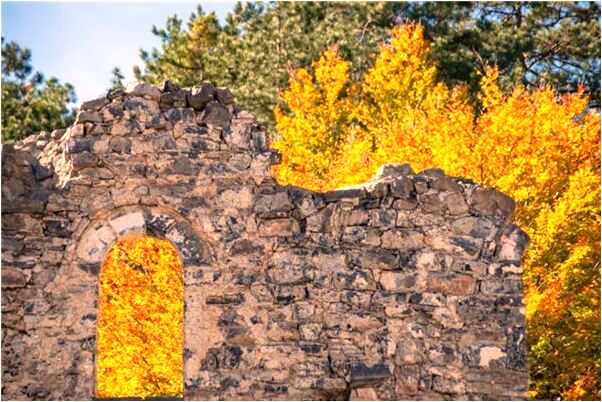 夢到上學默寫英語有什麼意義嗎_周公解夢官網