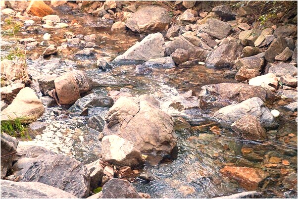 夢見四人給牆頭進我家怎么樣_周公解夢官網