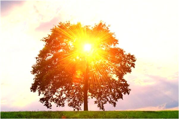 夢到了想去工作的路上好多蛇是什麼預兆？_周公解夢官網